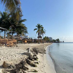 El Curso del Tablero de Sueños